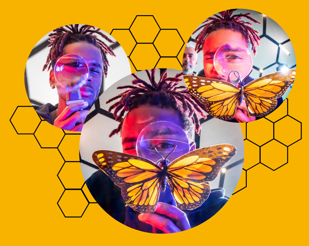 Man looking a butterfly with a magnifying glass